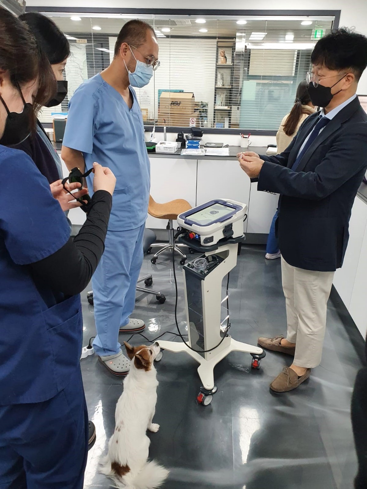 Korea MVET installed at an Animal Dental Centre of excellence